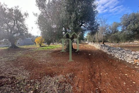 Terra a Carovigno, Brindisi, Carovigno - € 30.000 | Ref: Terreno Prete - foto 15